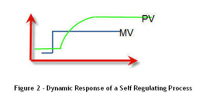 A Self regulating process